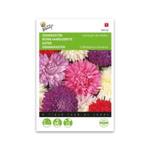 Asters frø, Queen of the market - mix