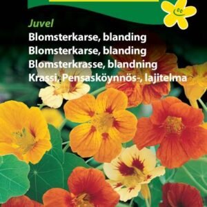 Blomsterkarse Blanding Juvel