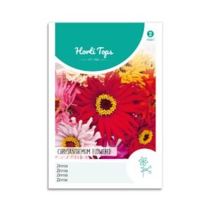 Frøkenhat frø - "Chrysanthemum Flowered"