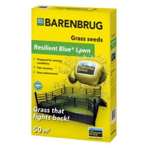 Græsfrø Barenbrug Resilient Blue lawn - 1 kg
