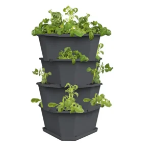 Gusta Garden Paul Potato 4 Lag - Anthrasite