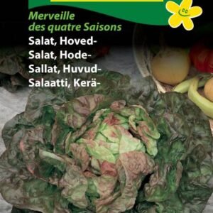 Hovedsalat Merveille des Quatre Saisons