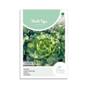 Hovedsalat frø "Sylvesta" - Horti Tops