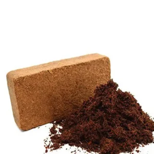 Kokosmuld - Plagron Cocos Brix - Kokosjord