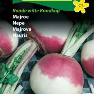 Majroe Ronde Witte Roodkop