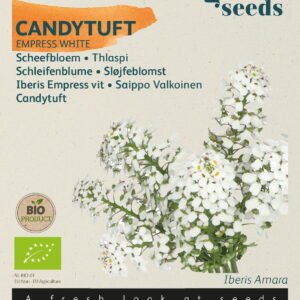 Økologisk Sløjfeblomst frø "Empress White"