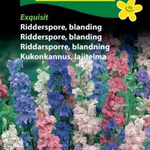 Ridderspore Blanding Exquisit