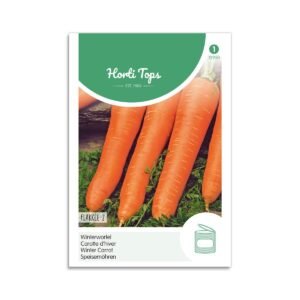 Vintergulerod frø "Autumn King 2" - Horti Tops